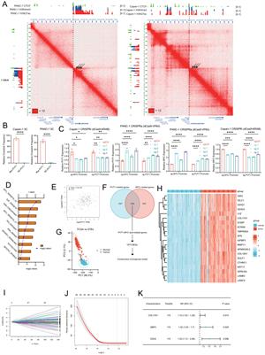 Construction of a novel model based on PVT1-MYC duet-related genes for predicting survival and characterization of the tumor microenvironment in pancreatic cancer